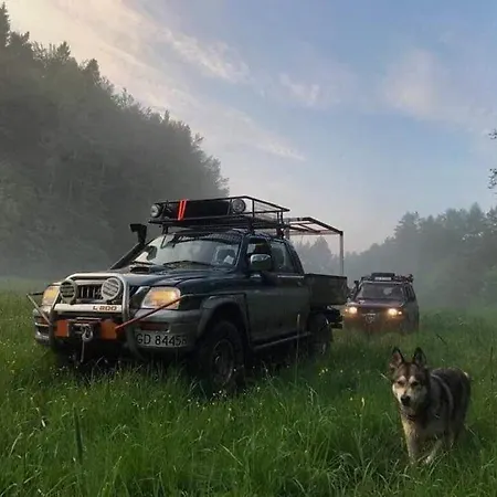 Plywajacy * 普日维兹