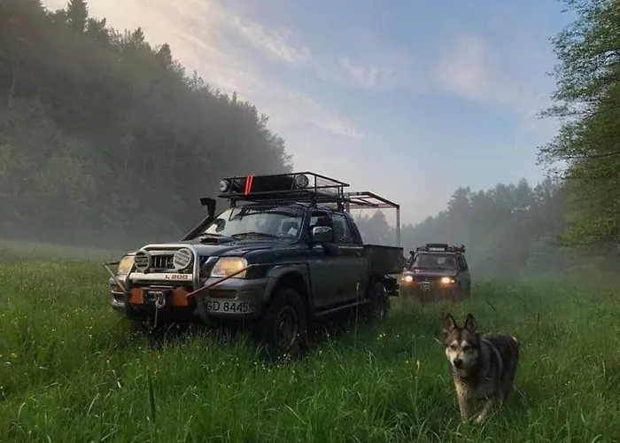 Plywajacy * 普日维兹