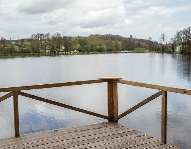 Plywajacy * 普日维兹